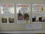 10月展示